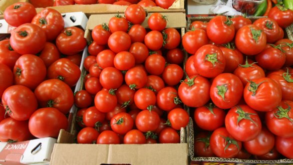 В магазинах сети «Магнит» скоро появятся недорогие помидоры из Сирии